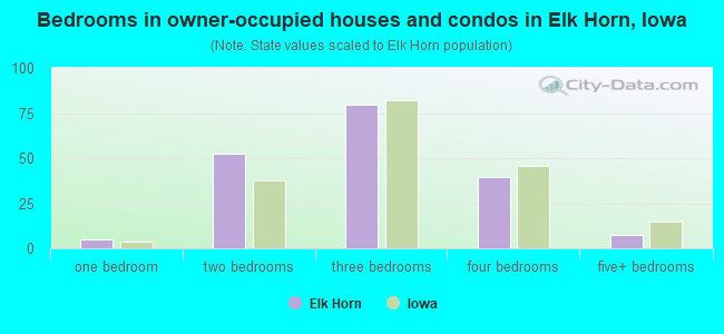 Bedrooms in owner-occupied houses and condos in Elk Horn, Iowa