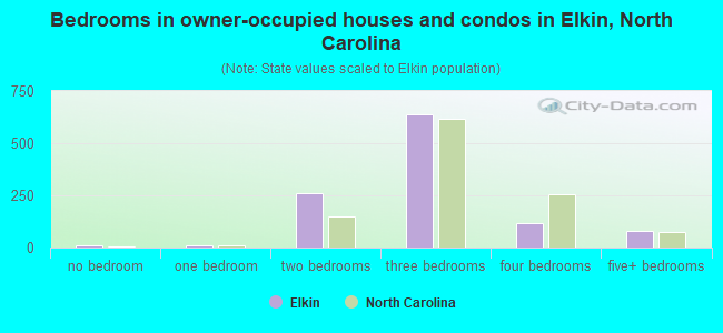 Bedrooms in owner-occupied houses and condos in Elkin, North Carolina