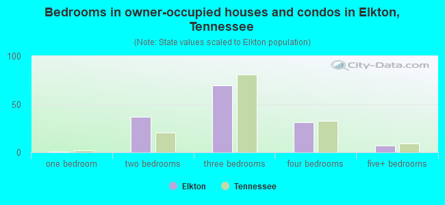 Bedrooms in owner-occupied houses and condos in Elkton, Tennessee