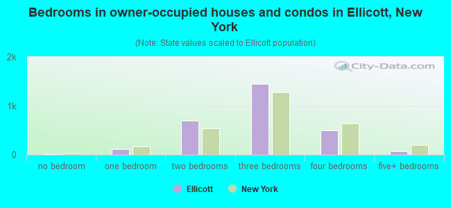 Bedrooms in owner-occupied houses and condos in Ellicott, New York