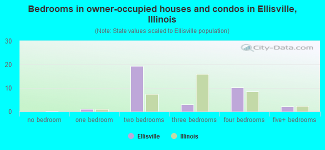 Bedrooms in owner-occupied houses and condos in Ellisville, Illinois