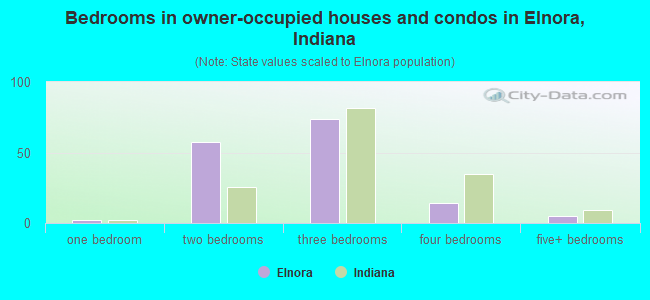 Bedrooms in owner-occupied houses and condos in Elnora, Indiana