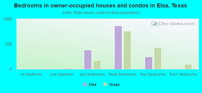 Bedrooms in owner-occupied houses and condos in Elsa, Texas