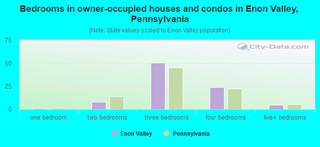 Bedrooms in owner-occupied houses and condos in Enon Valley, Pennsylvania