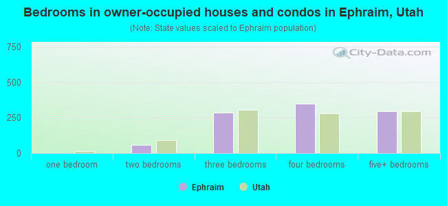 Bedrooms in owner-occupied houses and condos in Ephraim, Utah