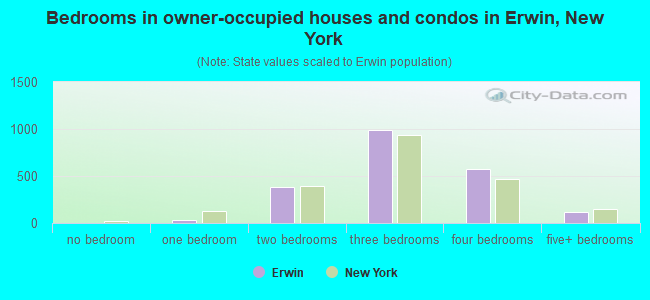 Bedrooms in owner-occupied houses and condos in Erwin, New York
