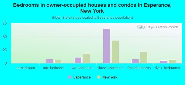 Bedrooms in owner-occupied houses and condos in Esperance, New York