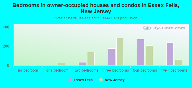 Bedrooms in owner-occupied houses and condos in Essex Fells, New Jersey