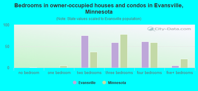 Bedrooms in owner-occupied houses and condos in Evansville, Minnesota