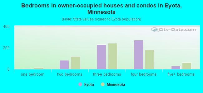 Bedrooms in owner-occupied houses and condos in Eyota, Minnesota