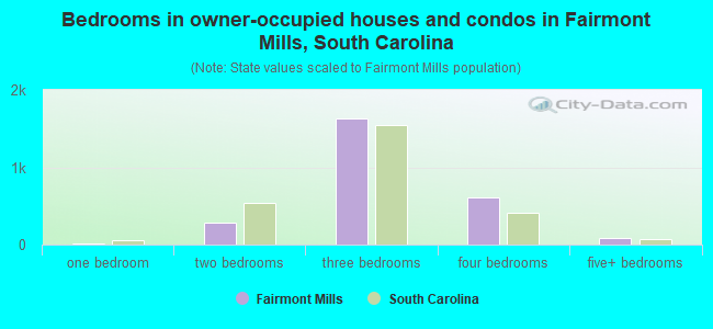 Bedrooms in owner-occupied houses and condos in Fairmont Mills, South Carolina