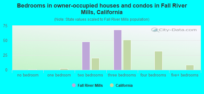 Bedrooms in owner-occupied houses and condos in Fall River Mills, California