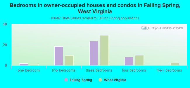 Bedrooms in owner-occupied houses and condos in Falling Spring, West Virginia