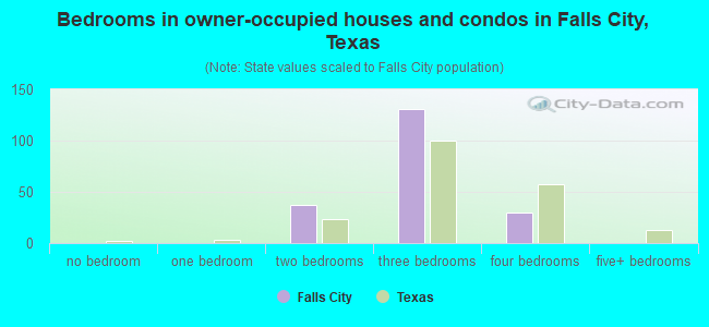 Bedrooms in owner-occupied houses and condos in Falls City, Texas