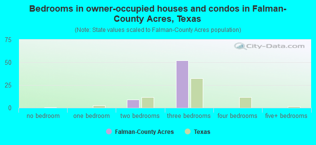 Bedrooms in owner-occupied houses and condos in Falman-County Acres, Texas