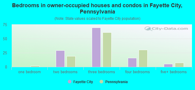 Bedrooms in owner-occupied houses and condos in Fayette City, Pennsylvania