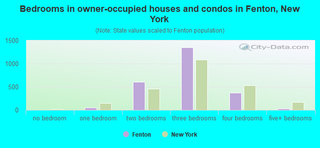 Bedrooms in owner-occupied houses and condos in Fenton, New York