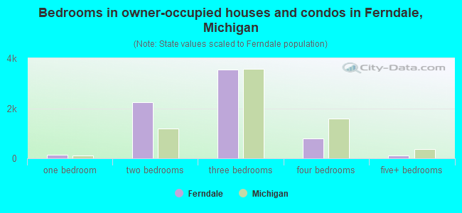 Bedrooms in owner-occupied houses and condos in Ferndale, Michigan