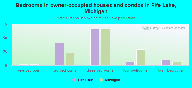 Bedrooms in owner-occupied houses and condos in Fife Lake, Michigan