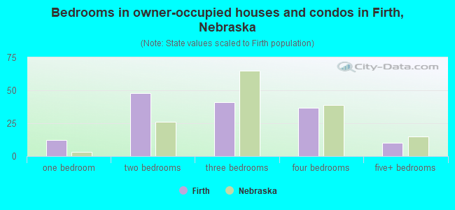 Bedrooms in owner-occupied houses and condos in Firth, Nebraska