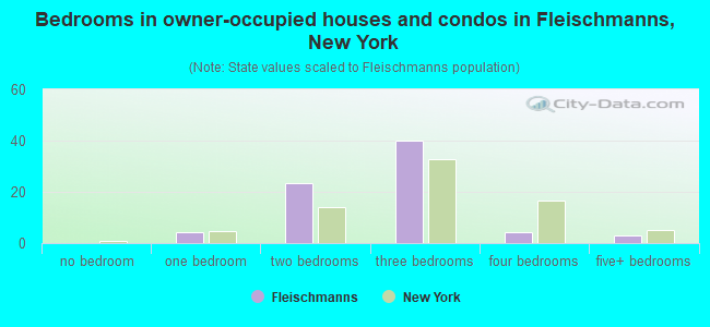 Bedrooms in owner-occupied houses and condos in Fleischmanns, New York
