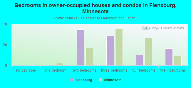 Bedrooms in owner-occupied houses and condos in Flensburg, Minnesota