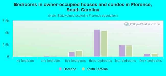 Bedrooms in owner-occupied houses and condos in Florence, South Carolina