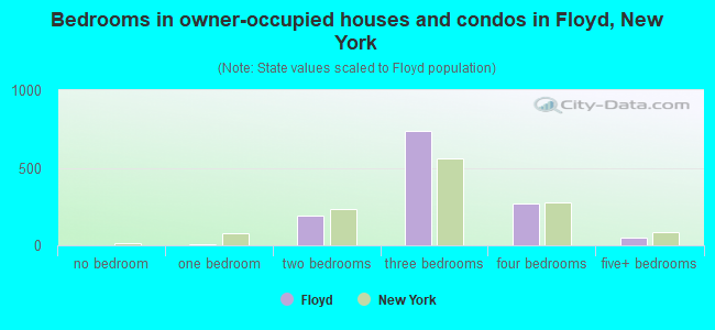 Bedrooms in owner-occupied houses and condos in Floyd, New York