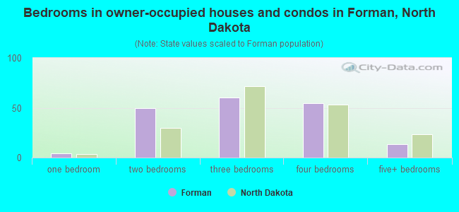 Bedrooms in owner-occupied houses and condos in Forman, North Dakota