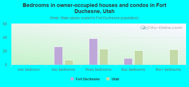 Bedrooms in owner-occupied houses and condos in Fort Duchesne, Utah