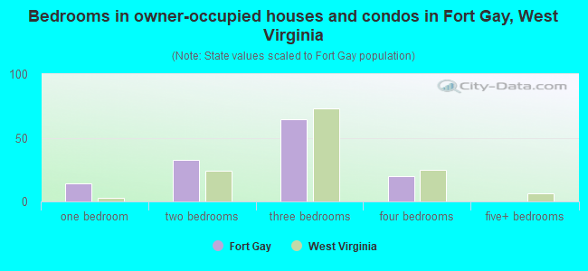 Bedrooms in owner-occupied houses and condos in Fort Gay, West Virginia