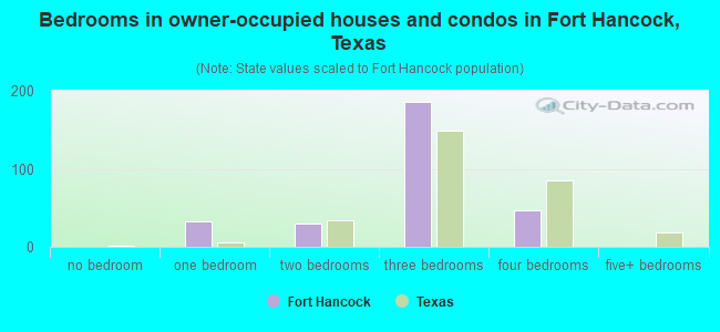 Bedrooms in owner-occupied houses and condos in Fort Hancock, Texas