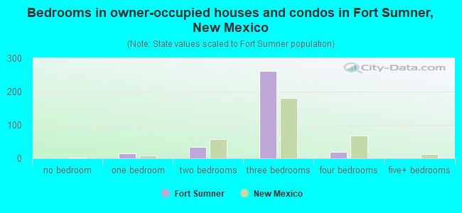 Bedrooms in owner-occupied houses and condos in Fort Sumner, New Mexico