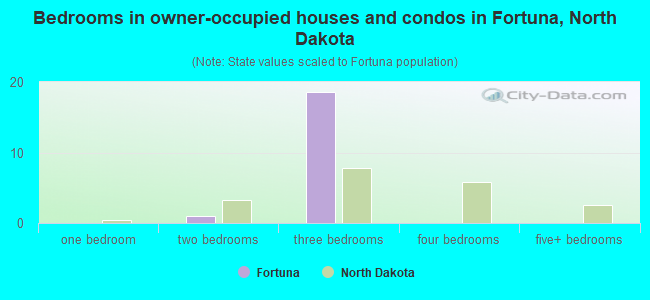 Bedrooms in owner-occupied houses and condos in Fortuna, North Dakota