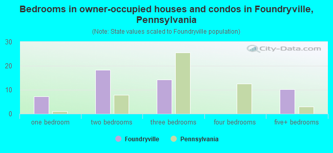 Bedrooms in owner-occupied houses and condos in Foundryville, Pennsylvania