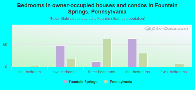 Bedrooms in owner-occupied houses and condos in Fountain Springs, Pennsylvania