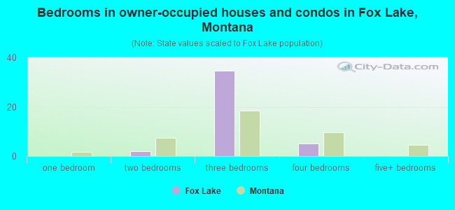 Bedrooms in owner-occupied houses and condos in Fox Lake, Montana