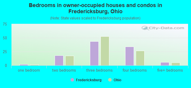 Bedrooms in owner-occupied houses and condos in Fredericksburg, Ohio