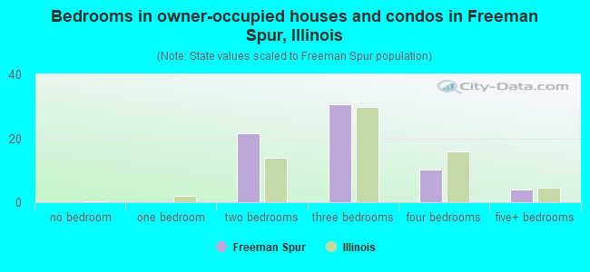 Bedrooms in owner-occupied houses and condos in Freeman Spur, Illinois