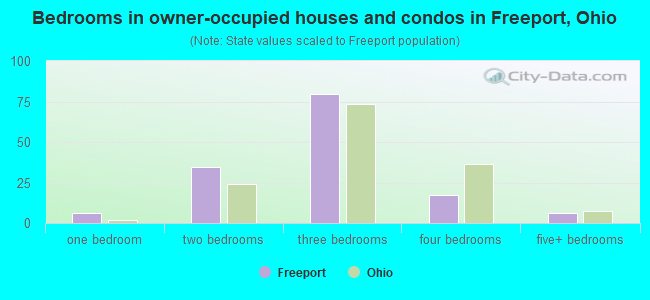 Bedrooms in owner-occupied houses and condos in Freeport, Ohio