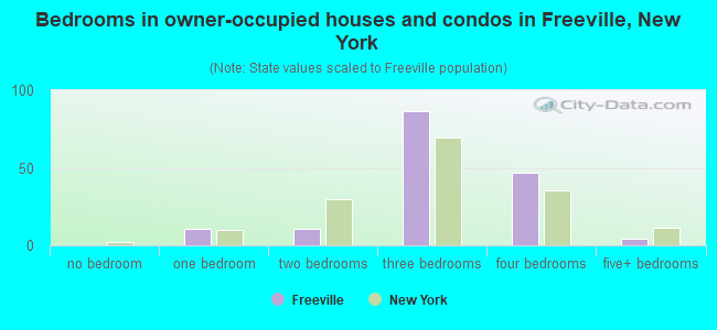 Bedrooms in owner-occupied houses and condos in Freeville, New York