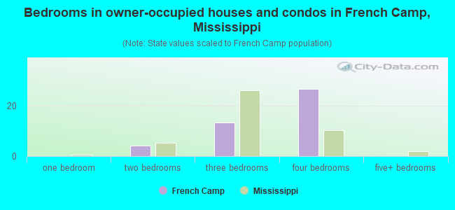 Bedrooms in owner-occupied houses and condos in French Camp, Mississippi