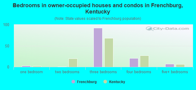 Bedrooms in owner-occupied houses and condos in Frenchburg, Kentucky