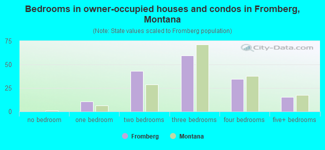 Bedrooms in owner-occupied houses and condos in Fromberg, Montana