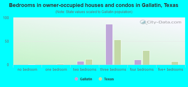 Bedrooms in owner-occupied houses and condos in Gallatin, Texas