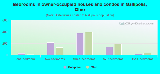 Bedrooms in owner-occupied houses and condos in Gallipolis, Ohio