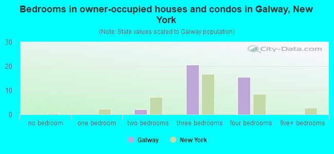 Bedrooms in owner-occupied houses and condos in Galway, New York
