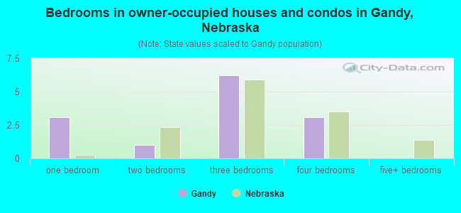 Bedrooms in owner-occupied houses and condos in Gandy, Nebraska