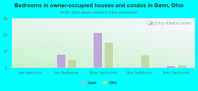 Bedrooms in owner-occupied houses and condos in Gann, Ohio