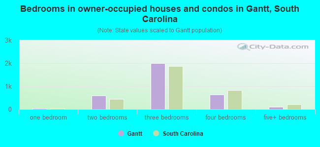 Bedrooms in owner-occupied houses and condos in Gantt, South Carolina